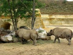 149 BIO PARC DE DOUE LA FONTAINE 4- 2016_000017